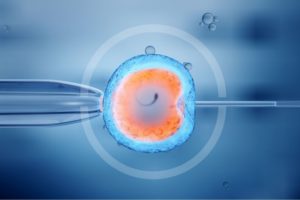 Read more about the article What is IVF?